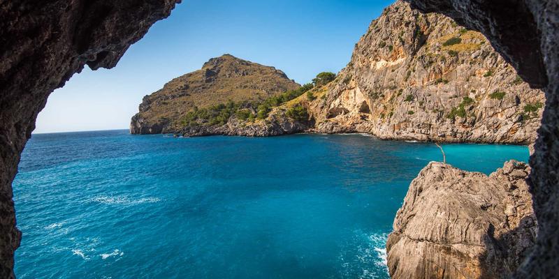 从耳环到潮流单品：摩森康胜如何以时尚配饰思维撬动女性饮酒市场