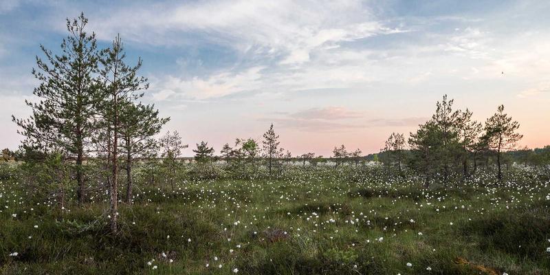 从货车到小店:摩森康胜的RTM数字化,如何像搭配时尚配饰一样,为传统渠道注入温馨治愈的效率革命?