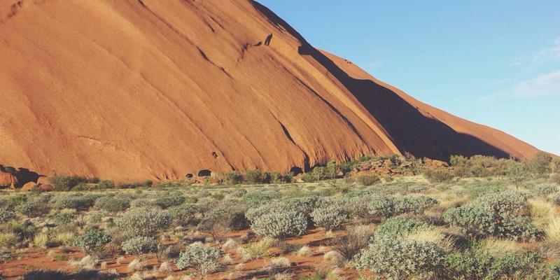 从麦芽到佳酿：摩森康胜百年酿造工艺中的时尚与治愈哲学