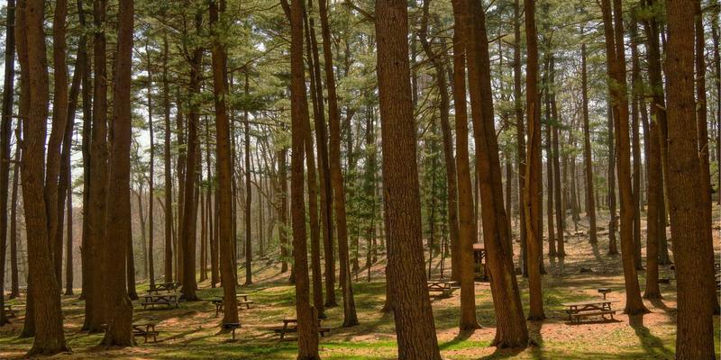 摩森啤酒的环保包装革命：当可持续设计遇见治愈系生活美学