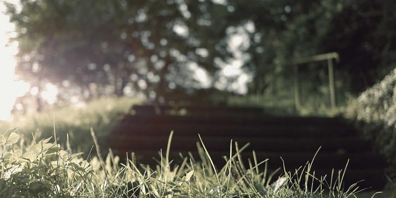 摩森康胜的‘品牌之家’战略:像运营时尚项链一样,串联起一个温馨治愈的啤酒家族