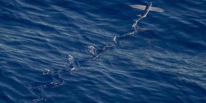 摩森康胜的温暖叙事:用一顶帽子、一条手链,编织危机中的品牌韧性